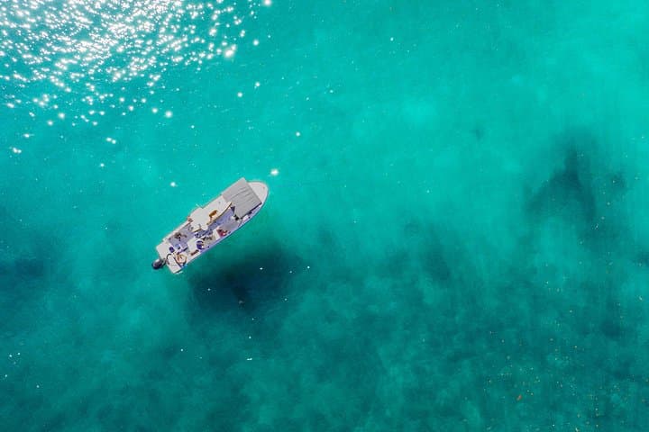 Isla Tortuga Boat Tour from Paquera — White Sand, Snorkel & Spider Monkeys photo 2