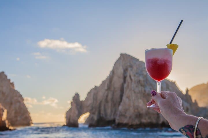 Tacos Buffet & Open Bar Cruise Los Cabos — Arch, Sea Lions & Sunset Sips