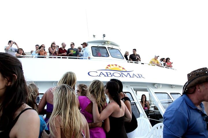 Tacos Buffet & Open Bar Cruise Los Cabos — Arch, Sea Lions & Sunset Sips photo 5