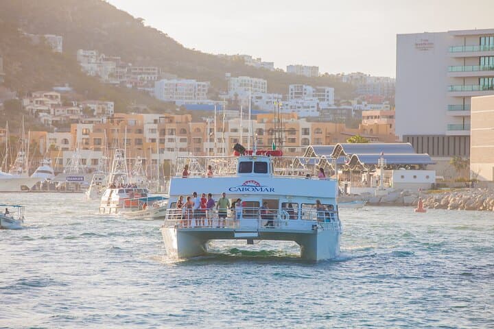 Tacos Buffet & Open Bar Cruise Los Cabos — Arch, Sea Lions & Sunset Sips photo 2