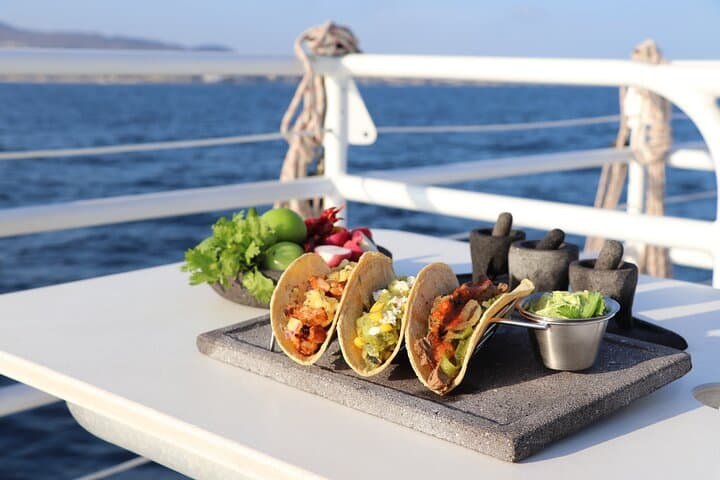 Tacos Buffet & Open Bar Cruise Los Cabos — Arch, Sea Lions & Sunset Sips photo 4
