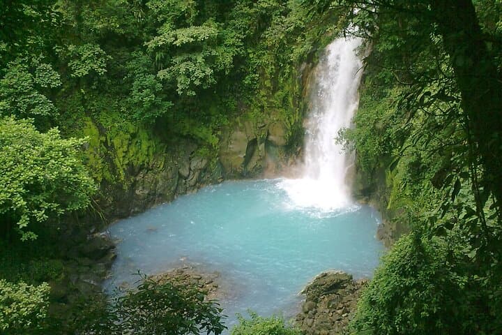Rio Celeste Waterfall & Sloth Sanctuary: Full-Day Hike from Guanacaste