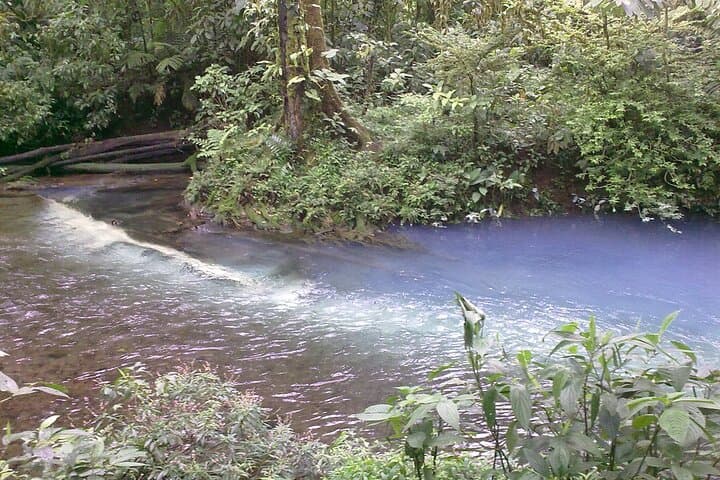 Rio Celeste Waterfall & Sloth Sanctuary: Full-Day Hike from Guanacaste photo 3