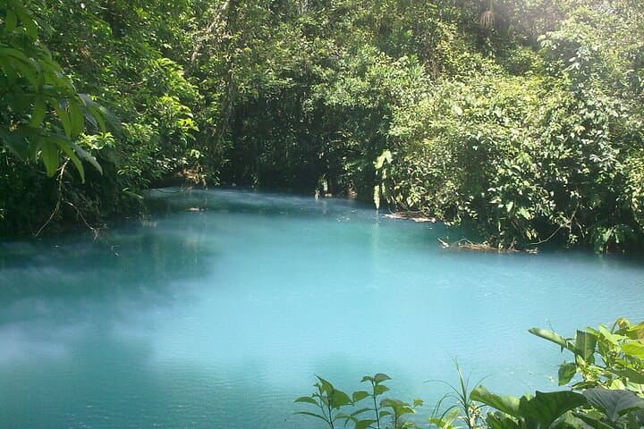 Rio Celeste Waterfall & Sloth Sanctuary: Full-Day Hike from Guanacaste photo 4