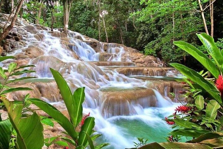 Ocho Rios Private Combo: Blue Hole & Dunn's River — Climb, Swim, and Cliff Jump