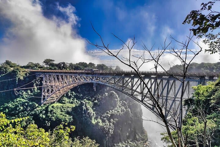 Victoria Falls Guided Walking Tour and Zimbabwe Wildlife Safari photo 6