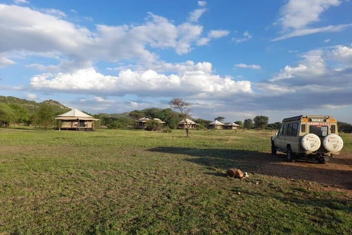8-Day Tanzania Private Safari: Tarangire, Ngorongoro & Serengeti photo 3
