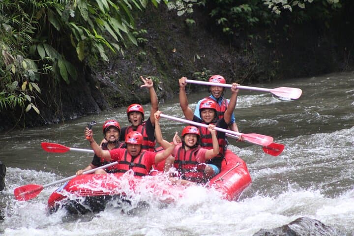 Ayung River Rafting from Ubud: 12km Whitewater Adventure with Buffet Lunch