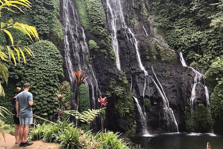 Lovina Sunrise Dolphin, Banyumala Waterfall & Ulun Danu Bratan Temple Tour photo 5