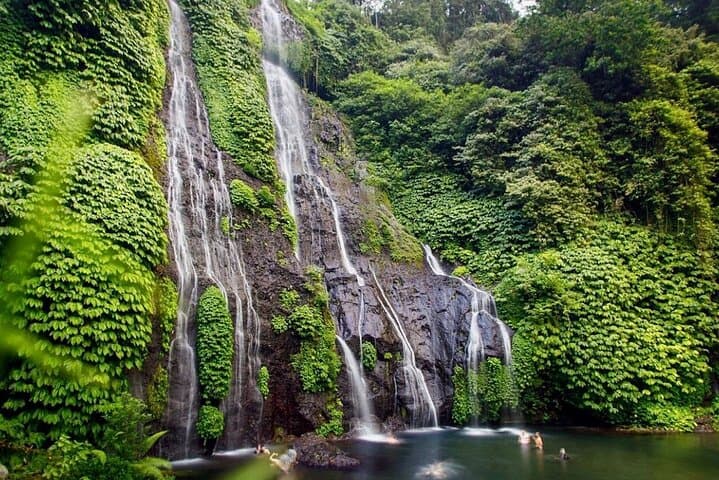 Lovina Sunrise Dolphin, Banyumala Waterfall & Ulun Danu Bratan Temple Tour photo 6