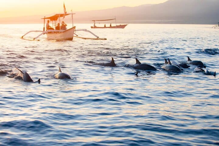 Lovina Sunrise Dolphin, Banyumala Waterfall & Ulun Danu Bratan Temple Tour photo 2