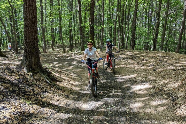 Mount Etna E‑Bike Half-Day: Ride Lava Fields to Rifugio Citelli photo 4