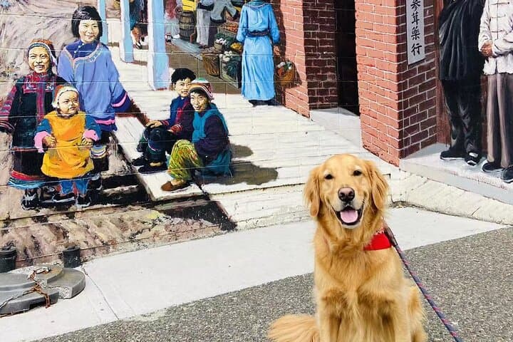 Explore Hidden Gems in Victoria: Local Old Town Walking Tour photo 2