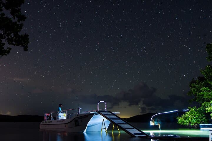 Mosquito Bay Bioluminescent Boat Tour — Vieques Electric Catamaran Experience photo 1