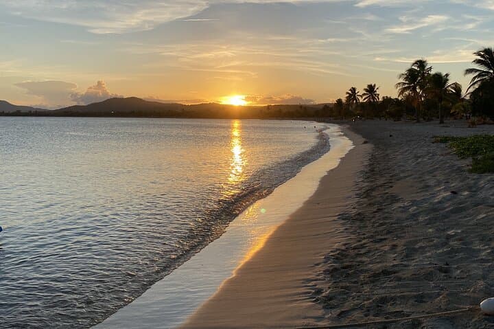 Mosquito Bay Bioluminescent Boat Tour — Vieques Electric Catamaran Experience photo 3
