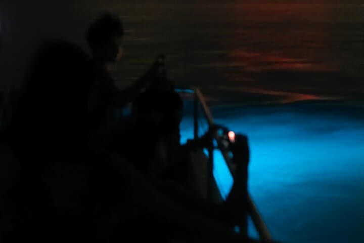 Mosquito Bay Bioluminescent Boat Tour — Vieques Electric Catamaran Experience photo 4