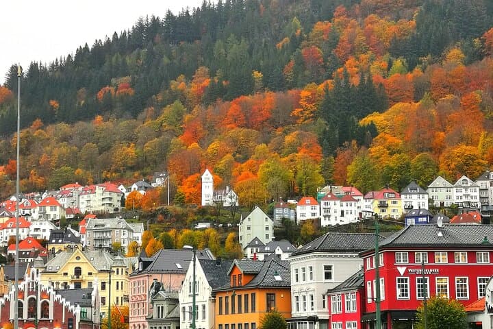 Explore Bergen: Private Guided Tour with Viking History and Mount Fløien Views photo 5