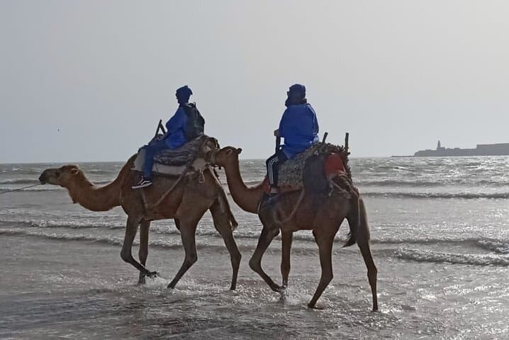 Essaouira Camel or Quad Adventure: Coastal Ride with Pickup photo 3