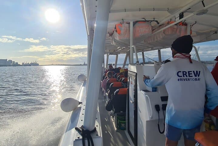 Guide to Snorkeling the Tangalooma Wrecks: Day Trip from Brisbane photo 2