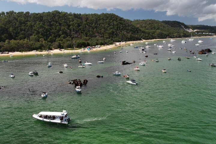 Guide to Snorkeling the Tangalooma Wrecks: Day Trip from Brisbane photo 4