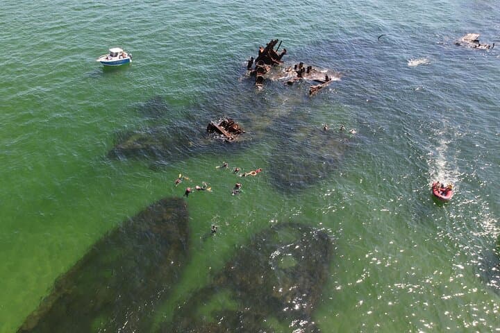 Guide to Snorkeling the Tangalooma Wrecks: Day Trip from Brisbane photo 6