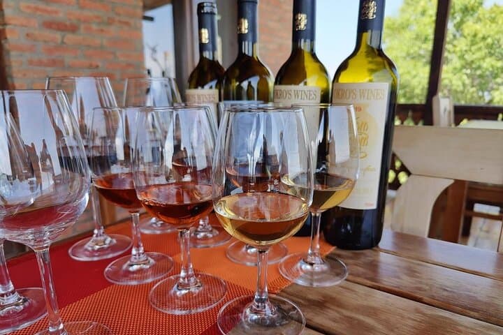 Organic Kakheti Wine Day Trip from Tbilisi — 3 Wineries, Lunch & Tastings photo 4