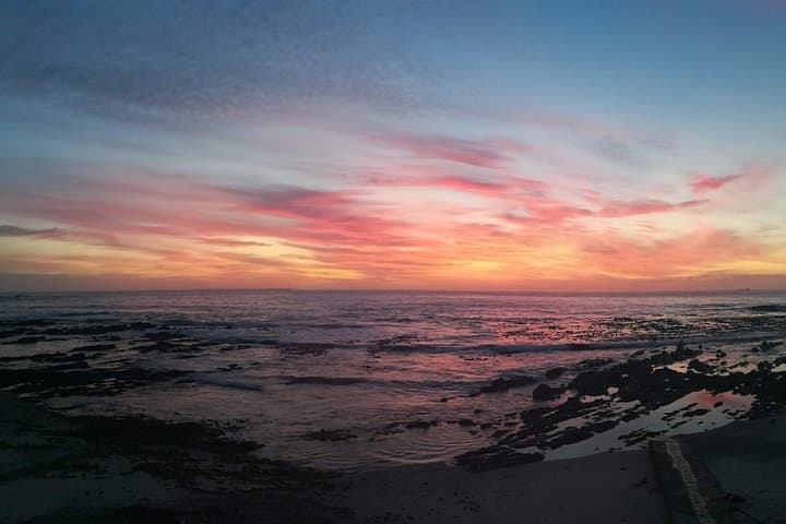 Full-Day Cape Town Wine Tasting Tour: Spier, Tokara & Coastal Sunsets photo 3