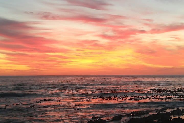 Full-Day Cape Town Wine Tasting Tour: Spier, Tokara & Coastal Sunsets photo 5