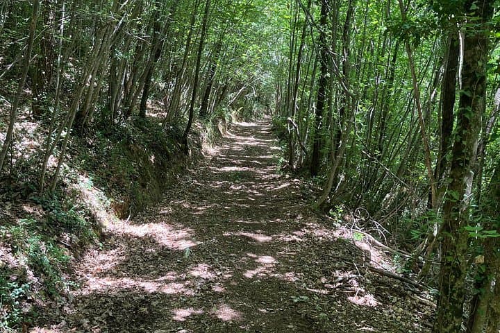 Spoleto Quad Bike Adventure: 2-Hour Private Quad Tour to Catinelli Ghost Town photo 4