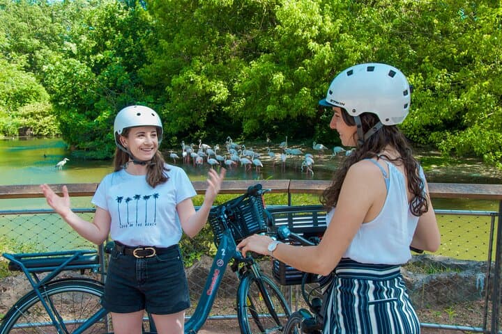 E‑Bike Highlights of Lyon: Tête d'Or, Presqu'île & Saône Shores in 3 Hours photo 3