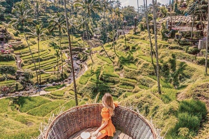 Ubud Highlights: Waterfalls, Temple Rituals, Rice Terraces & Jungle Swing (Private Tour) photo 6
