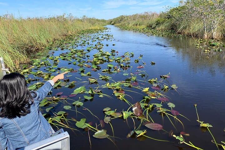 Miami Everglades Airboat Tour: Alligator-Spotting & Wildlife Experience photo 2