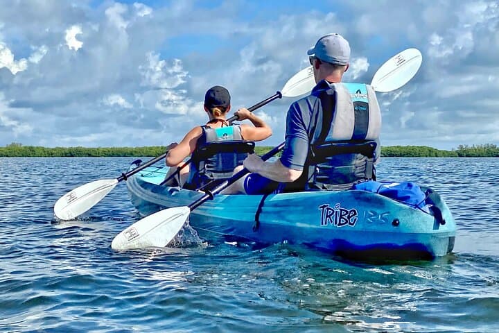Guided Kayak Tour of Shell Key Preserve: Mangrove Tunnels, Seagrass & Beach Time photo 3