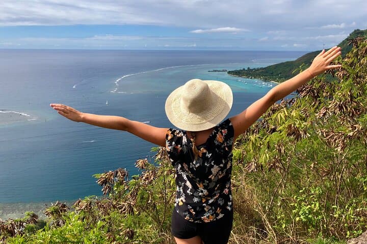 Private 4x4 Moorea Half-Day Tour: Belvedere Lookout, Pineapple Fields & Twin Bays photo 4