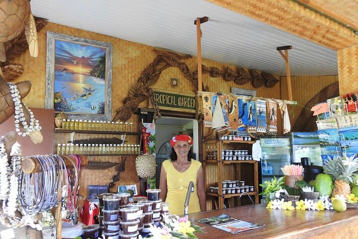 Private 4x4 Moorea Half-Day Tour: Belvedere Lookout, Pineapple Fields & Twin Bays photo 6