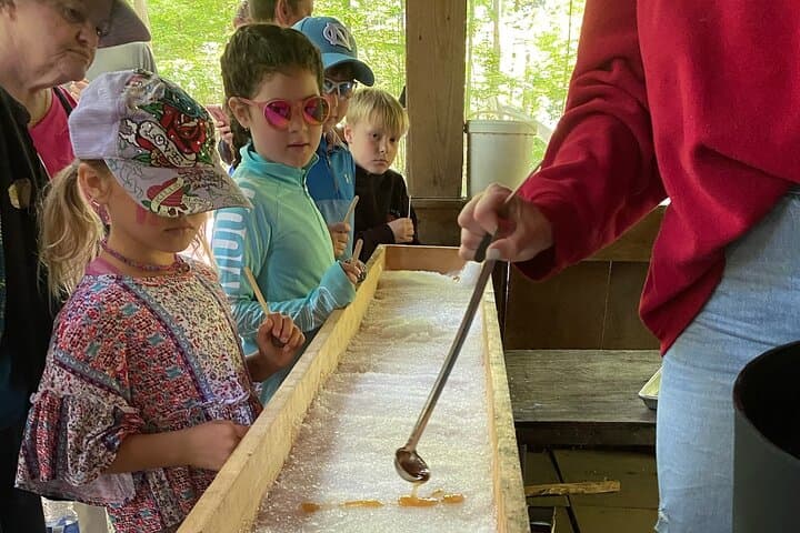 Discover Maple Sugar Bush Tour: Behind-the-Scenes of Ontario Maple Syrup photo 2