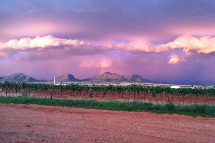 High Desert Wine Tasting Tour in Sonoita & Elgin — Tucson Day Trip photo 3