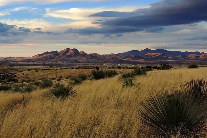 High Desert Wine Tasting Tour in Sonoita & Elgin — Tucson Day Trip photo 2
