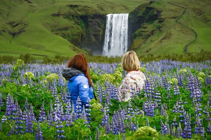 Full-Day South Coast Glacier Hike & Waterfalls — Photo Tour from Reykjavík