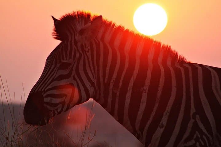 3-Day Kruger National Park Safari: Big Five, Blyde River Canyon & Campfire Nights photo 2