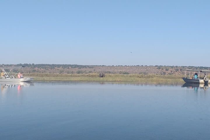 Chobe Full-Day Safari: Game Drive & River Cruise from Victoria Falls