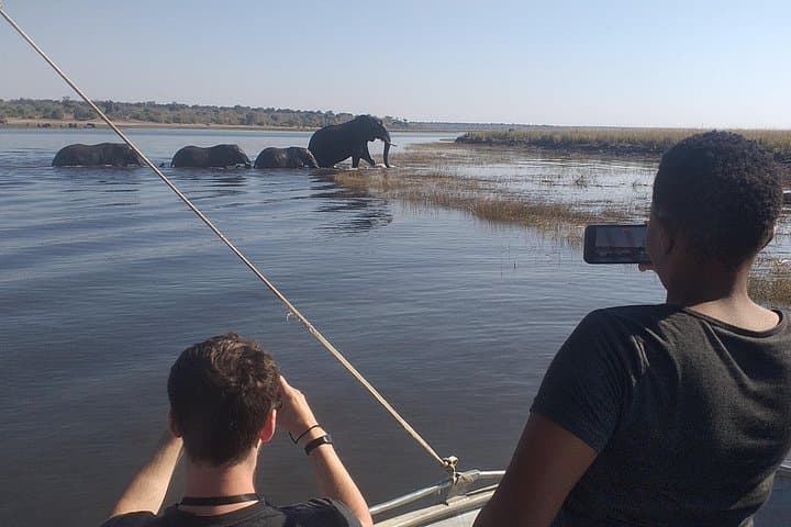 Chobe Full-Day Safari: Game Drive & River Cruise from Victoria Falls photo 3