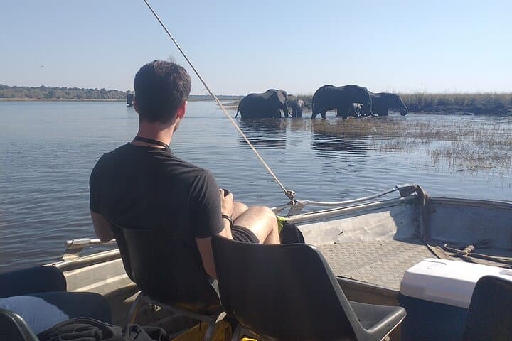 Chobe Full-Day Safari: Game Drive & River Cruise from Victoria Falls photo 5