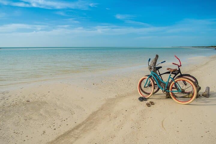 Punta Mosquito & Holbox Day Trip from Cancún: Beaches, Birds and Golf Carts photo 6