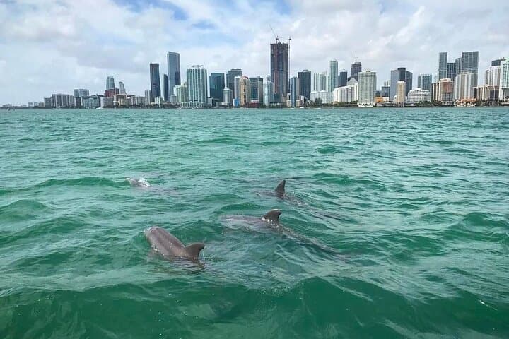 Cruising Biscayne Bay: Stiltsville, Dolphins, and the Miami Skyline photo 2