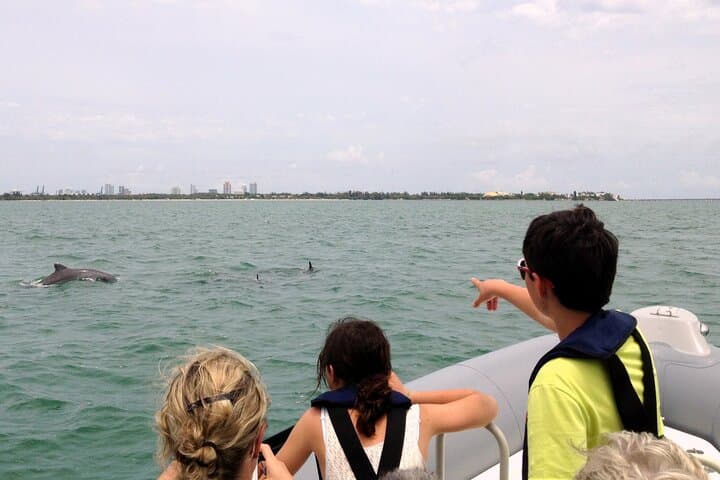 Cruising Biscayne Bay: Stiltsville, Dolphins, and the Miami Skyline photo 4