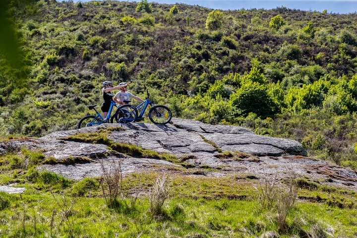 E‑Bike Hire with Return Shuttle: Queenstown to Gibbston Wine Trail photo 6