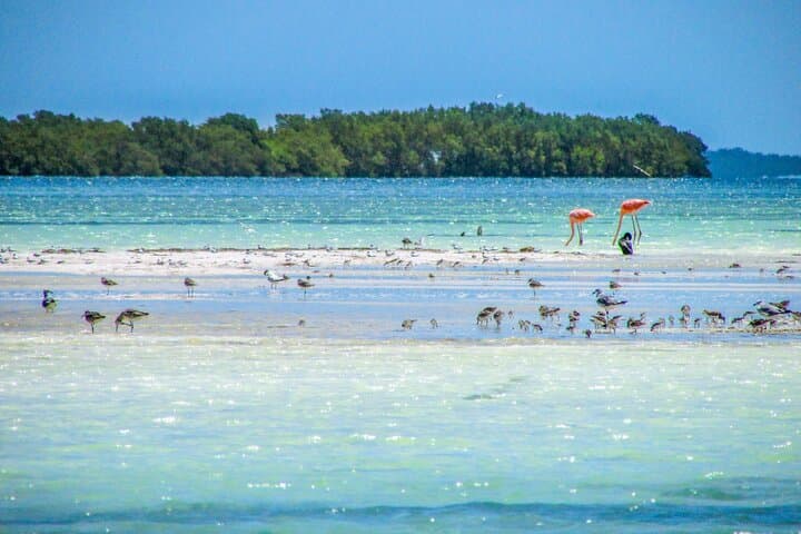 Holbox Island Day Trip from Cancun — Punta Mosquito, Passion Island & Lunch photo 5