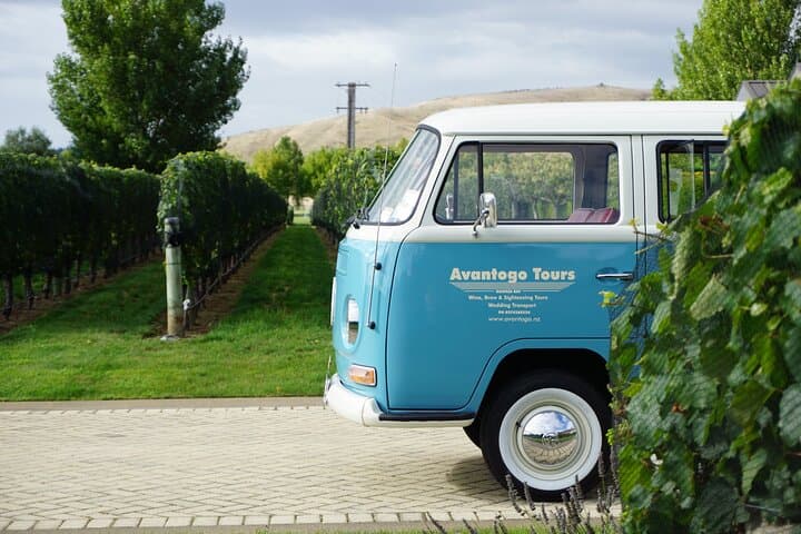 Hawke's Bay Wine Tour from Napier — Retro Kombi Tastings & Vineyard Cheese photo 1
