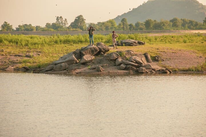 Ranakpur Leopard Jeep Safari: Spot Leopards & Birdlife on a 3-Hour Jeep Tour photo 6